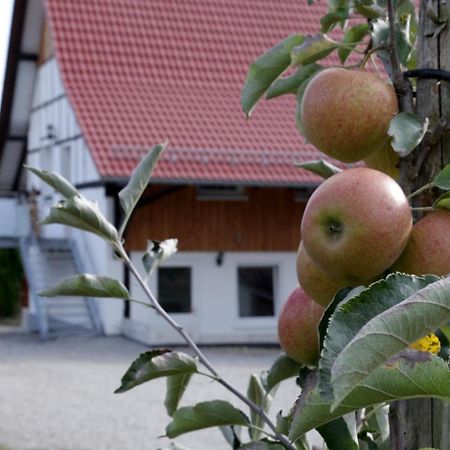 Ferienhof Waggershauser Friedrichshafen Exterior photo